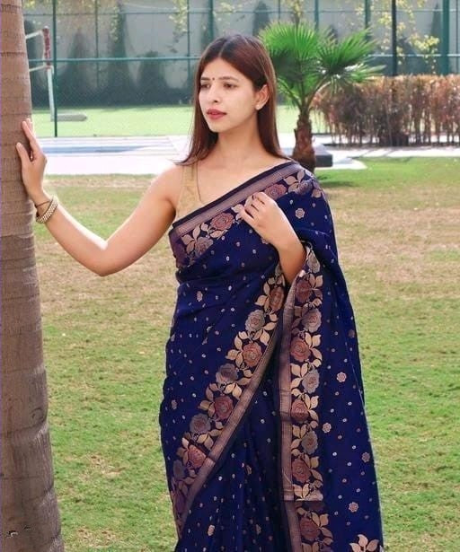 Shreya Navy Blue Soft Banarasi Silk Saree