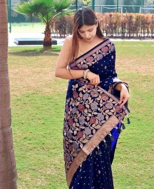 Shreya Navy Blue Soft Banarasi Silk Saree